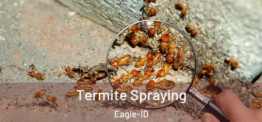 Termite Spraying Eagle-ID