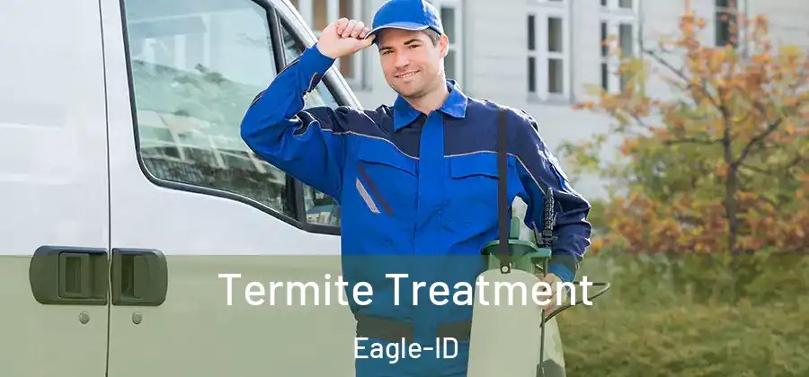 Termite Treatment Eagle-ID