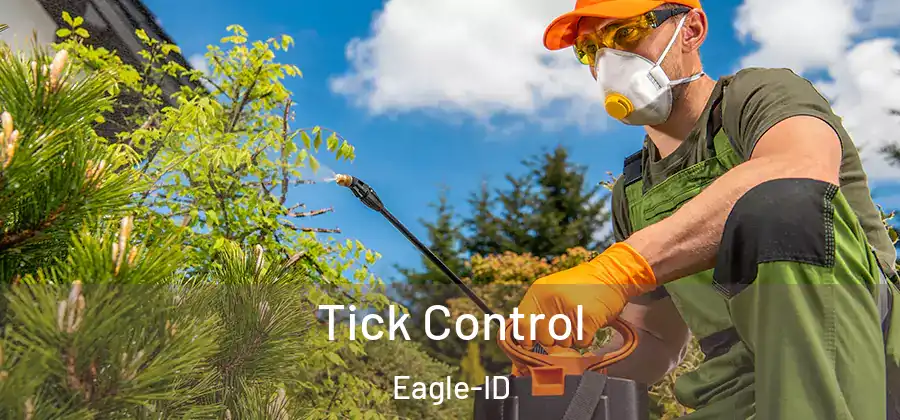 Tick Control Eagle-ID