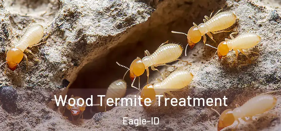 Wood Termite Treatment Eagle-ID