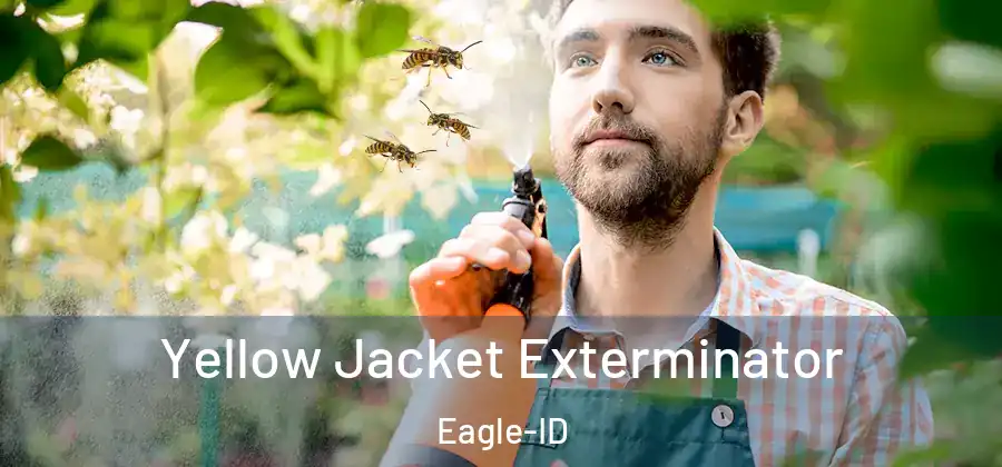 Yellow Jacket Exterminator Eagle-ID