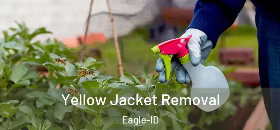 Yellow Jacket Removal Eagle-ID